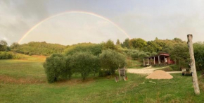 Acero Campestre, Torreglia